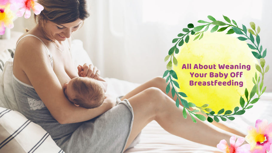 All About Weaning Your Baby Off Breastfeeding | Hea Boosters