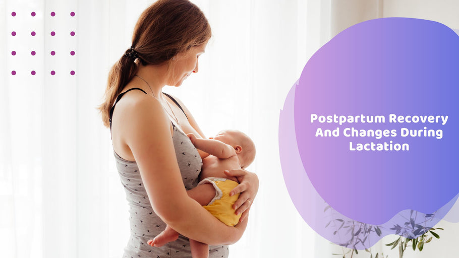 Postpartum Recovery And Changes During Lactation | Hea Boosters