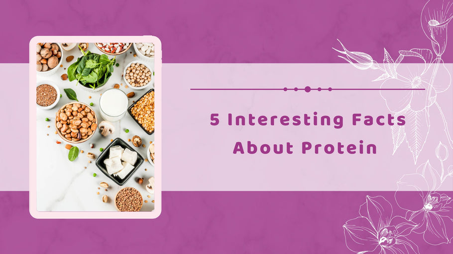 5 Interesting Facts About Protein That You Should Know | Hea Boosters