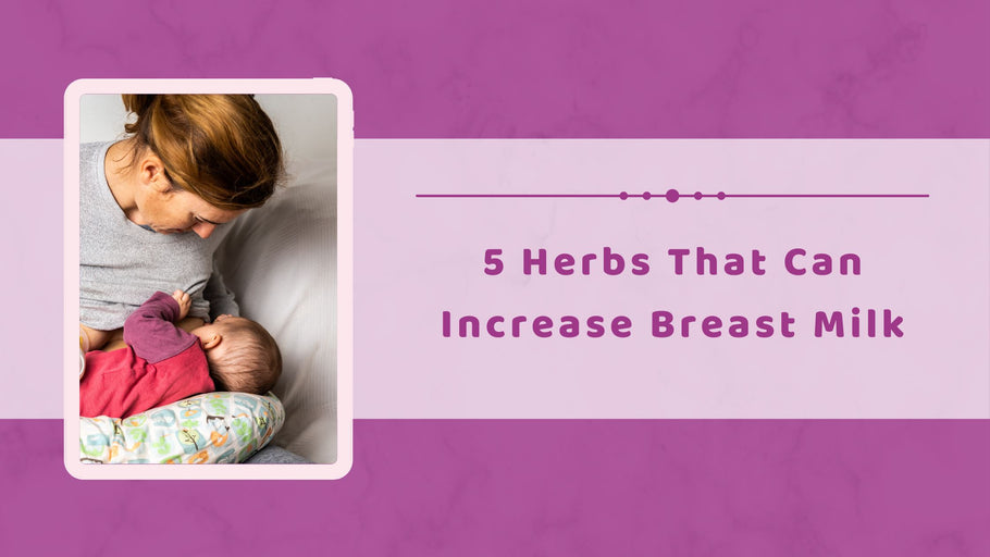 5 Herbs That Can Increase Breast Milk | Hea Boosters