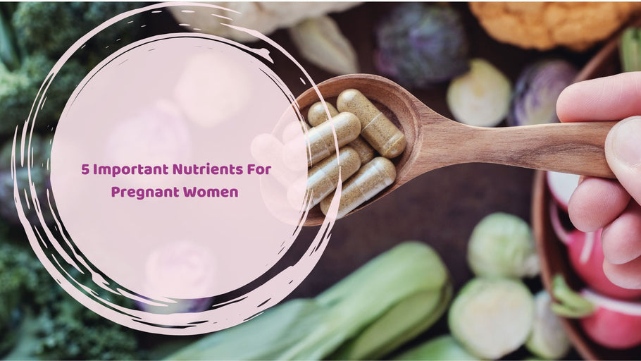 5 Important Nutrients For Pregnant Woman | Hea Boosters
