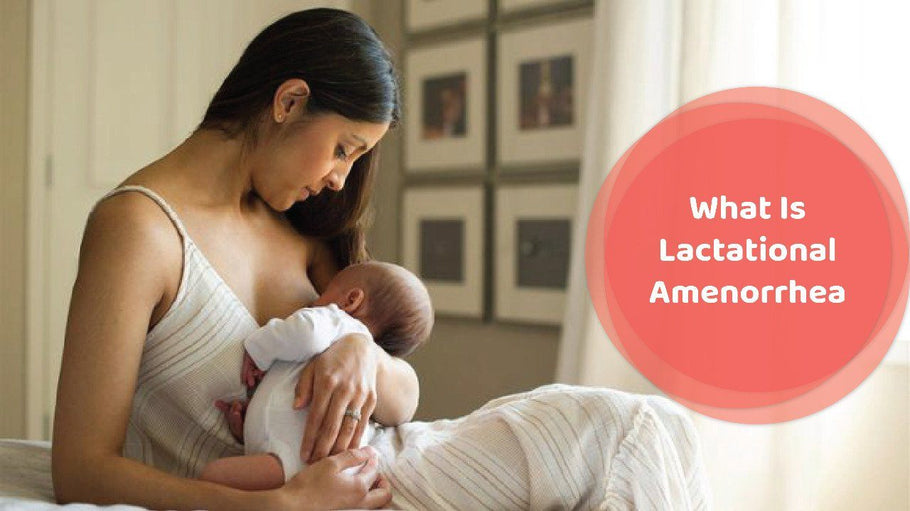 What Is Lactational Amenorrhea | Hea Boosters
